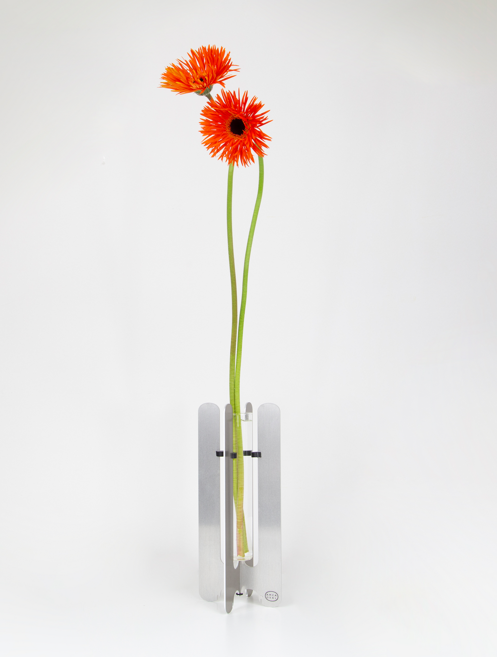 Modern flower vase by AMCA Oval — minimalist design, sculptural aluminium base, transparent glass tube, collectible home decor.