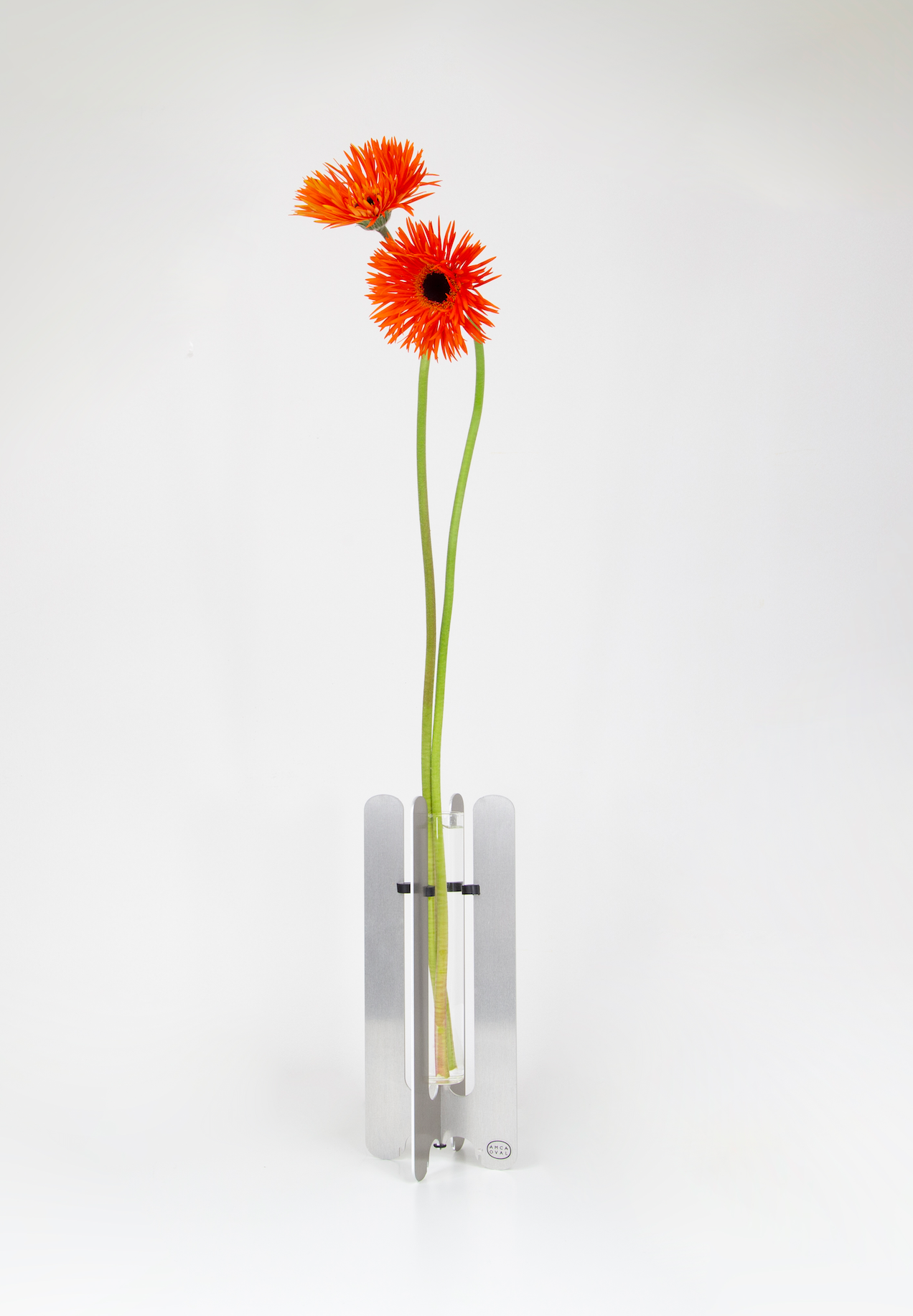 Modern flower vase by AMCA Oval — minimalist design, sculptural aluminium base, transparent glass tube, collectible home decor.