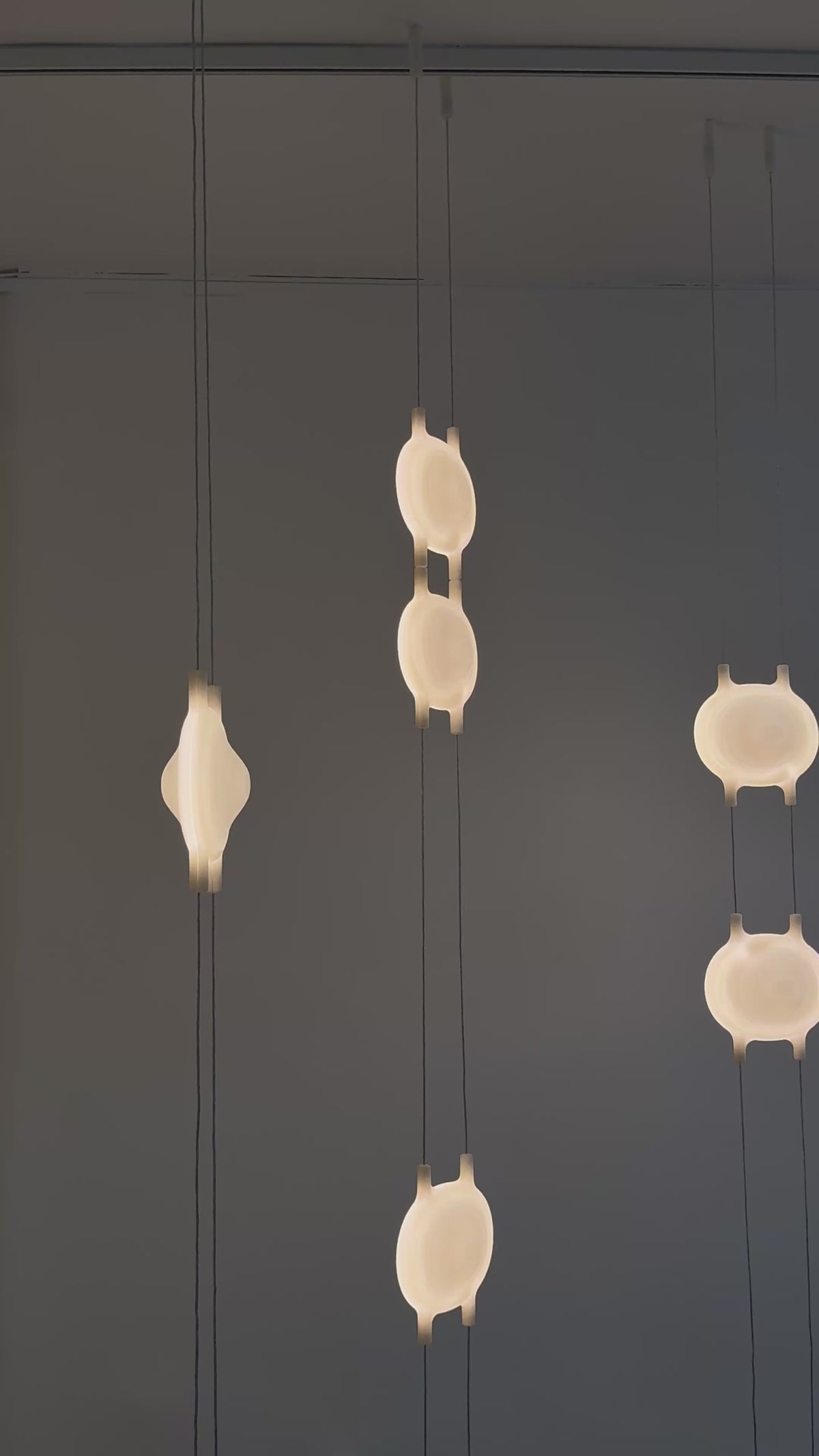 Lampe VEGA81